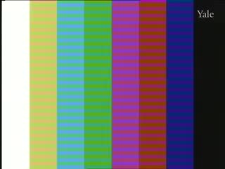 media 75887 thumbnail image