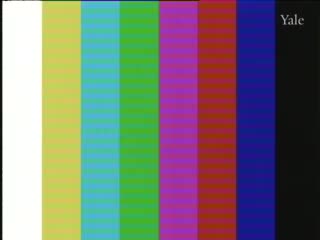 media 75889 thumbnail image