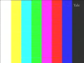 media 75924 thumbnail image