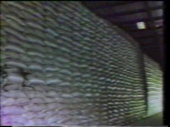 media 76169 thumbnail image