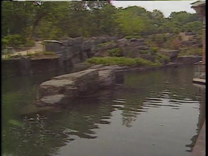media 76187 thumbnail image