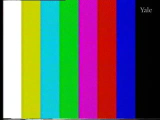 media 76345 thumbnail image