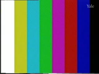 media 76351 thumbnail image
