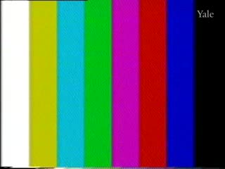 media 76381 thumbnail image