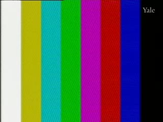 media 76445 thumbnail image