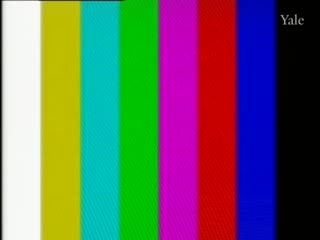 media 76451 thumbnail image