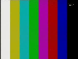 media thumbnail