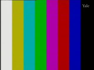 media thumbnail
