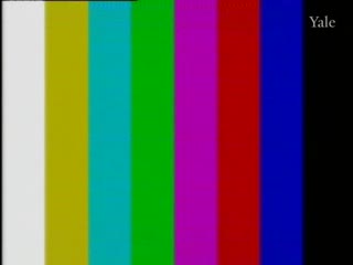 media 76484 thumbnail image