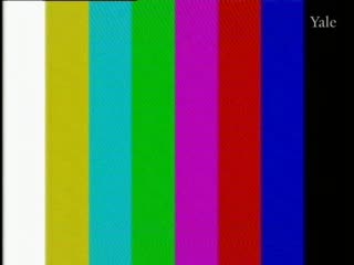 media 76605 thumbnail image