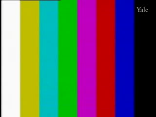 media 76621 thumbnail image