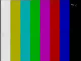 media 77133 thumbnail image