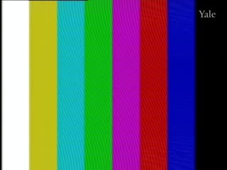 media 77226 thumbnail image