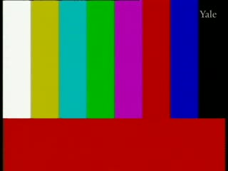 media 78169 thumbnail image