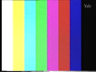 media 78209 thumbnail image