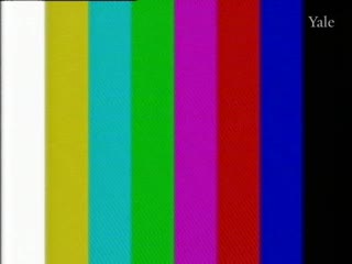 media 78295 thumbnail image