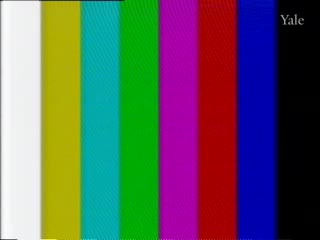 media 78301 thumbnail image
