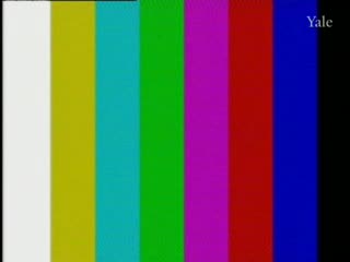 media 78311 thumbnail image