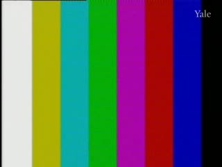 media 78313 thumbnail image