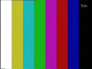 media 78321 thumbnail image