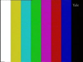 media 78323 thumbnail image