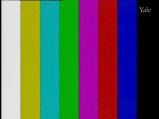 media 78326 thumbnail image