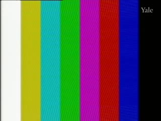 media 78332 thumbnail image