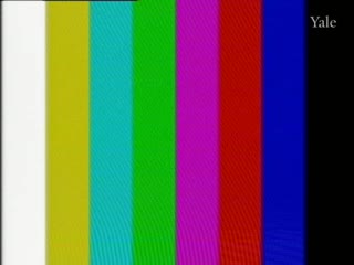 media 78333 thumbnail image