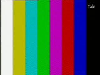 media 78336 thumbnail image