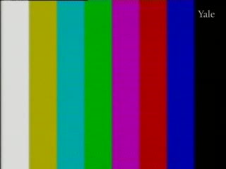 media 78337 thumbnail image