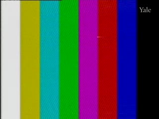 media 78341 thumbnail image