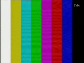 media 78342 thumbnail image