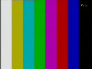 media 78343 thumbnail image