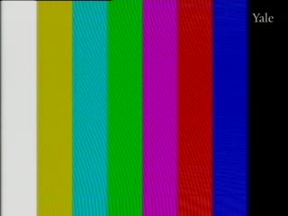 media 78350 thumbnail image