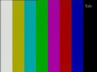 media 78351 thumbnail image