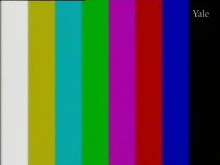 media 78352 thumbnail image