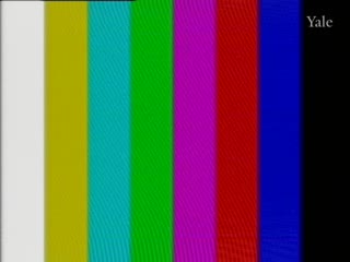 media 78353 thumbnail image