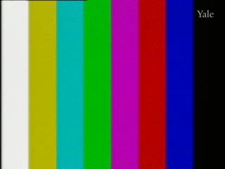 media 78355 thumbnail image