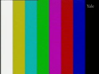 media 78356 thumbnail image