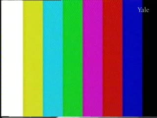 media 78374 thumbnail image