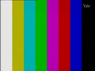 media 78378 thumbnail image