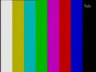 media 78383 thumbnail image