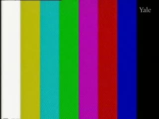 media 78385 thumbnail image