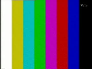 media 78390 thumbnail image