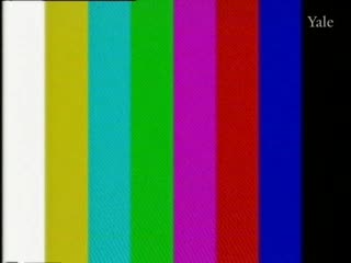 media thumbnail