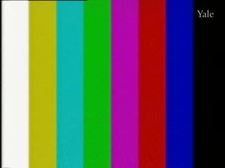 media 78396 thumbnail image