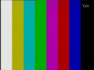 media 78407 thumbnail image