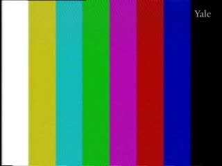 media 78428 thumbnail image