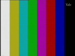 media 78434 thumbnail image