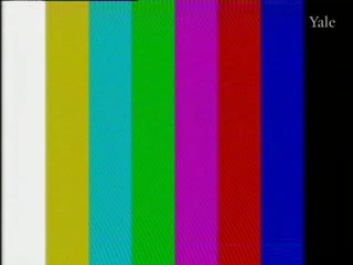 media 78474 thumbnail image